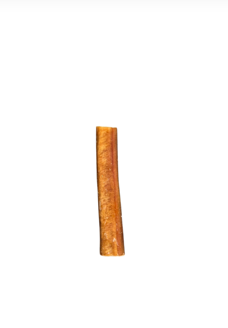Bull Pizzle