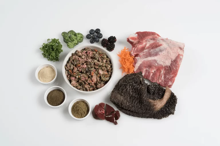 PaleoRidgePaleoPlusSpecialDietRawDogFood_500g.png