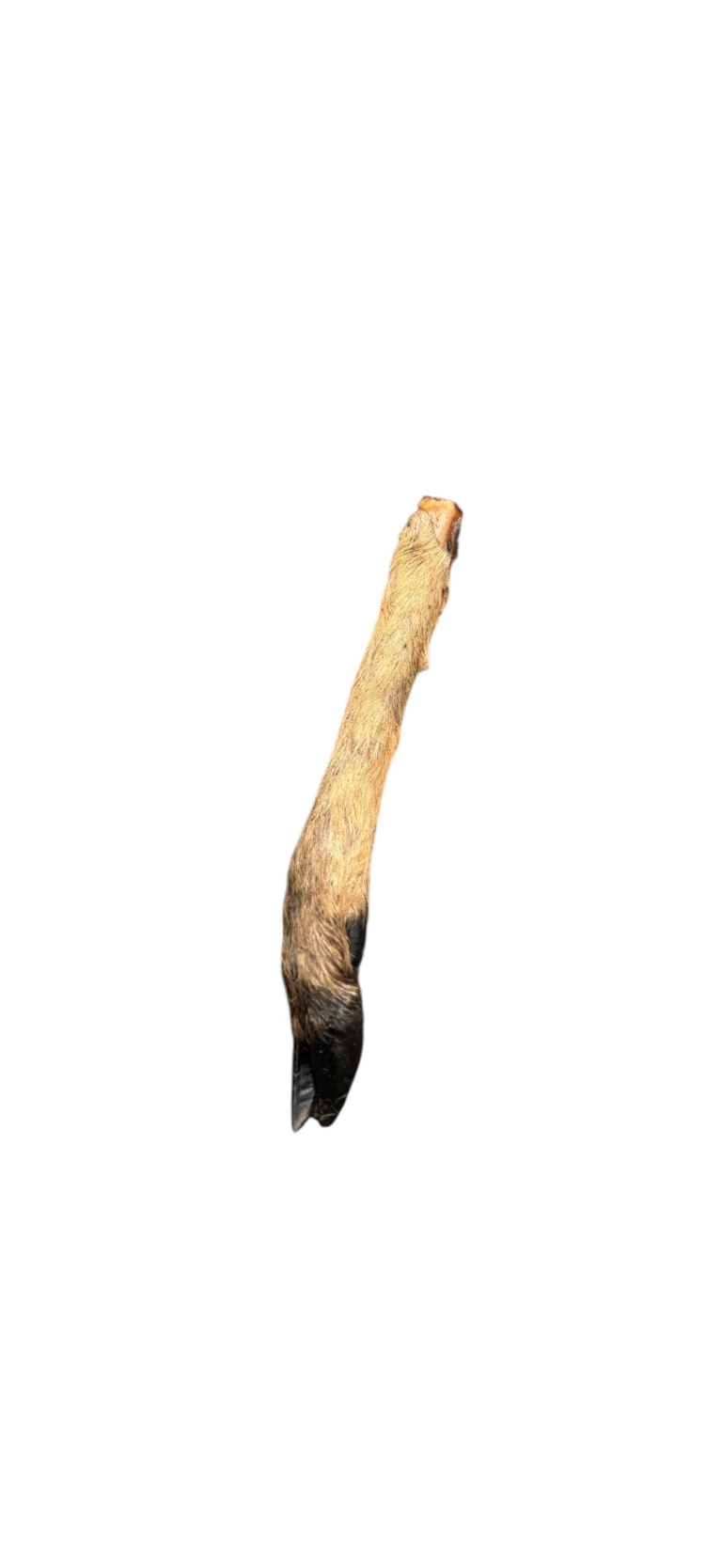 Venison Leg